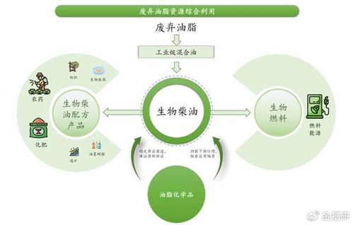 豐倍生物 技術創新驅動綠色全產業鏈，生物柴油市占率領先